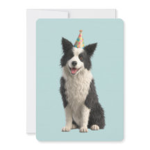 Fiesta de cumpleaños de Collie