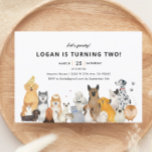 Invitación Fiesta de cumpleaños de Kids Dog Puppy Pawday<br><div class="desc">Invitaciones a la fiesta de cumpleaños de Kids Dog Puppy Pawty</div>