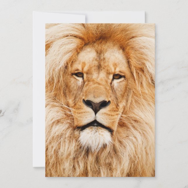 Invitación Fiesta de cumpleaños de león (Anverso)