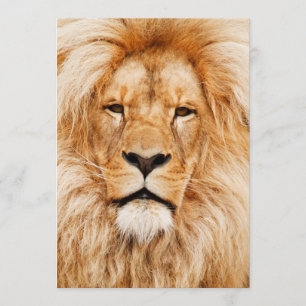 Invitación Fiesta de cumpleaños de león