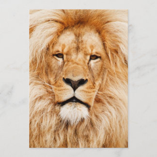 Invitación Fiesta de cumpleaños de león