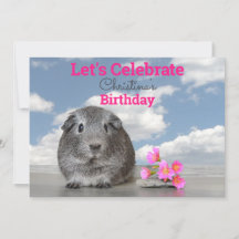 Fiesta de Cumpleaños de Niño Cerdito de Guinea Ros