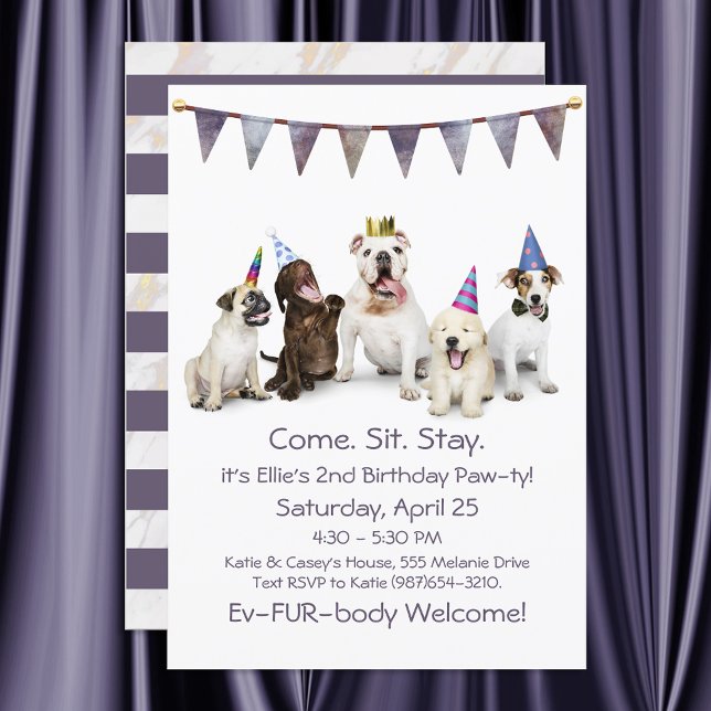 Invitación Fiesta de cumpleaños de perro para cualquier cacho (Subido por el creador)