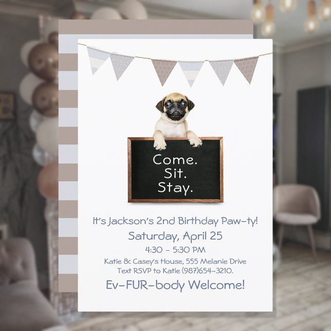 Invitación Fiesta de Cumpleaños de Perro para Pug Niño (Subido por el creador)