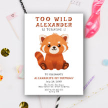 Fiesta de cumpleaños del Panda Rojo 1er año