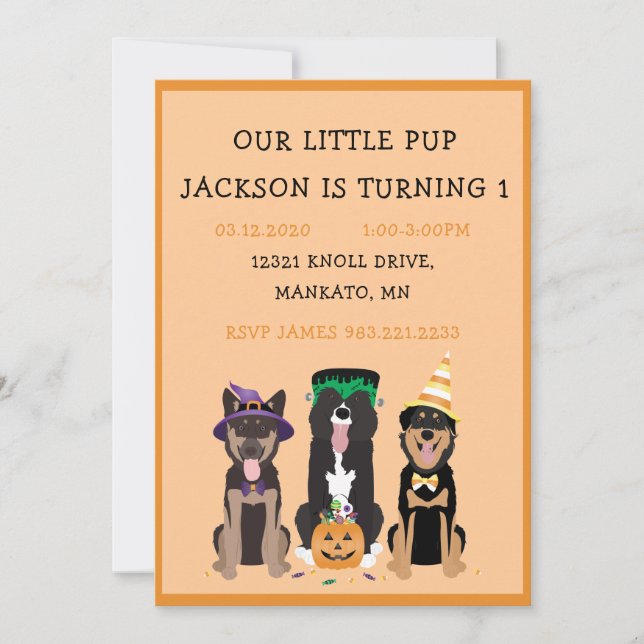 Invitación Fiesta de cumpleaños del perro de Halloween (Anverso)