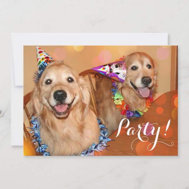Invitación Fiesta de cumpleaños feliz de los perros del (Anverso)