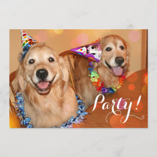 Invitación Fiesta de cumpleaños feliz de los perros del
