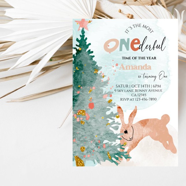 Invitación Fiesta de cumpleaños número uno de Winter Onederla (Subido por el creador)
