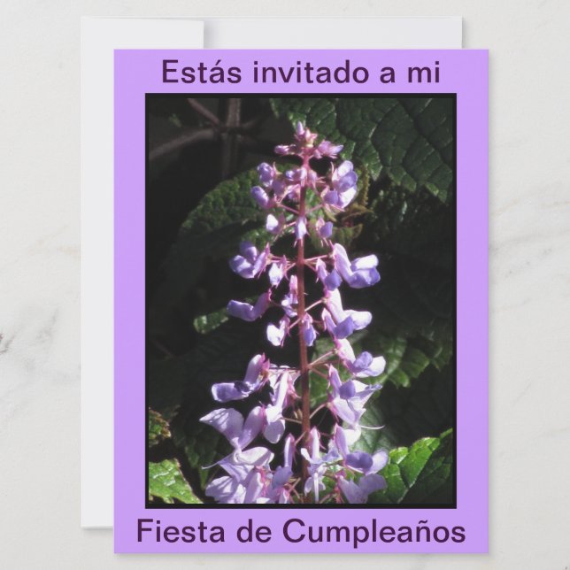 Invitación - Fiesta de Cumpleaños - Púrpura (Anverso)