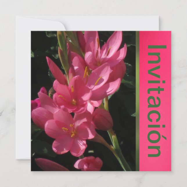 Invitación - Fiesta de Cumpleaños - Rosa (Anverso)