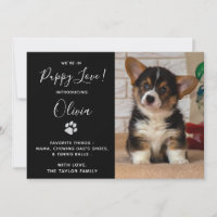 Fiesta De Ducha De Cachorro - Nuevo Mascota Negro 
