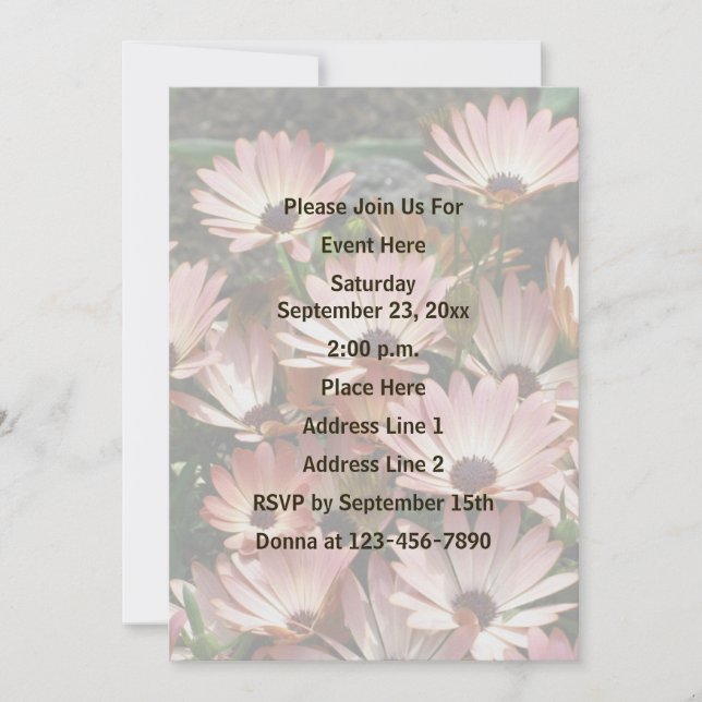 Invitación Fiesta de flores de margarita rosada africana (Anverso)