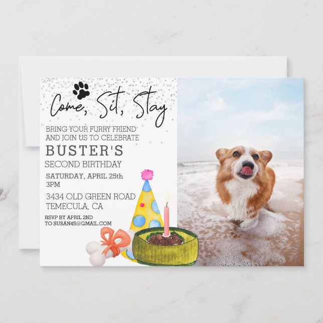 Invitación Fiesta de foto de cumpleaños de Come Sit Stay Dog (Anverso)