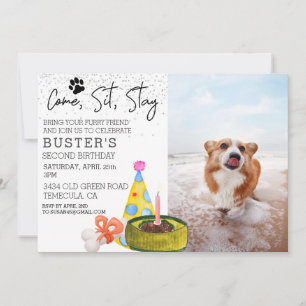 Invitación Fiesta de foto de cumpleaños de Come Sit Stay Dog