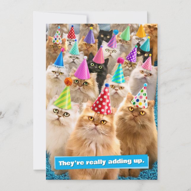 Invitación Fiesta de Gatos (Anverso)