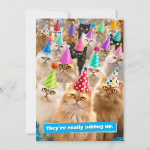 Invitación Fiesta de Gatos