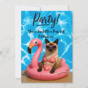 Invitación Fiesta de gatos en la piscina 
