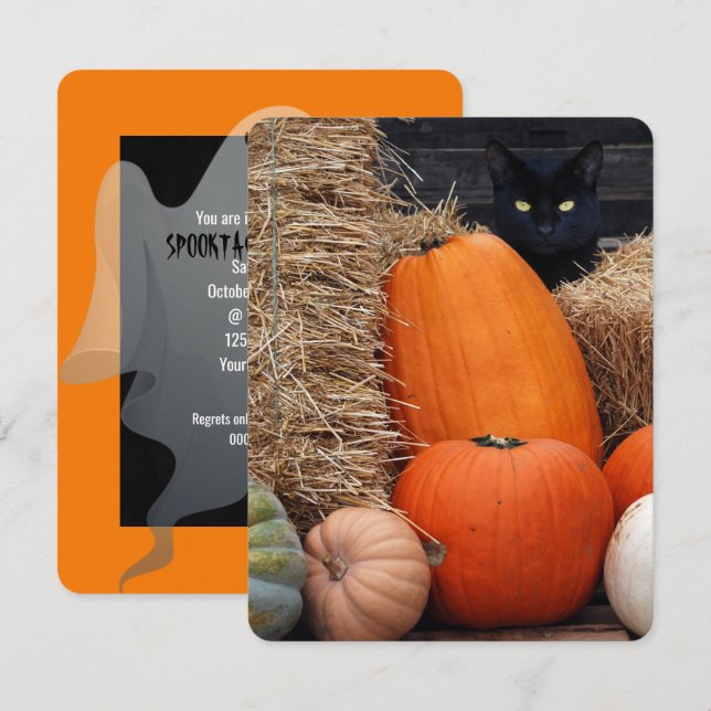 Invitación Fiesta de Halloween del gato negro y las calabazas (Anverso / Reverso)