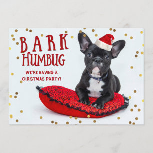 Invitación Fiesta de Navidad linda del bulldog del