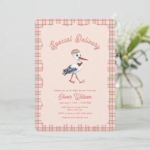 Invitación Fiesta de Revelación de Bebé Stork Vintage Gingham