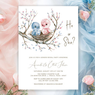 Invitación Fiesta de Revelación de Género de Dulces Pájaros B