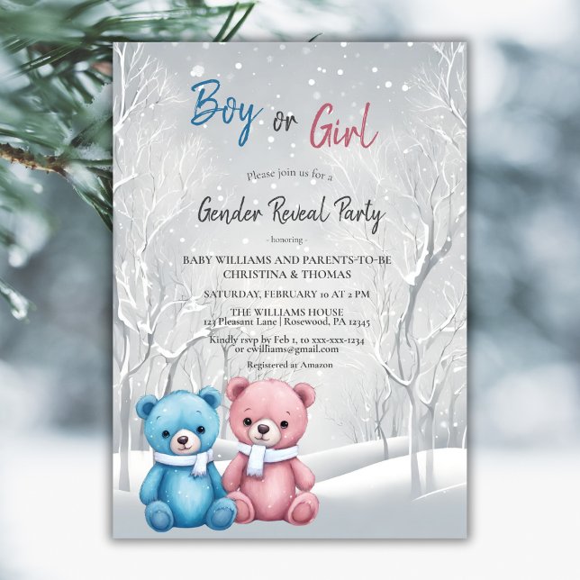 Invitación Fiesta de revelación de género de ositos de invier (Subido por el creador)
