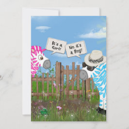 Invitación Fiesta de revelación de sexo del bebé