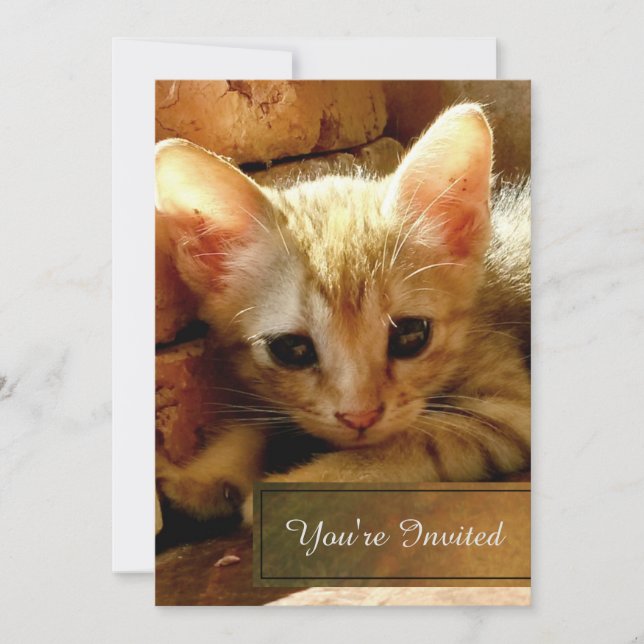 Invitación Fiesta de un Pequeño Gatito (Anverso)
