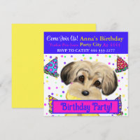 Fiesta de Yorkie Poo 