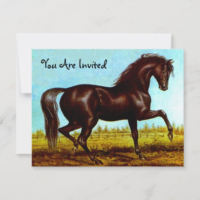 Invitación Fiesta del Caballo de Belleza Negra Invita a Cualq (Anverso)