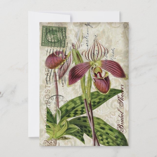 Invitación fiesta del té nupcial floral de la ducha de la (Anverso)