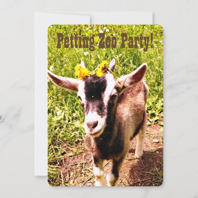 Invitación ¡Fiesta del zoológico de Petting! Personalizar est (Anverso)
