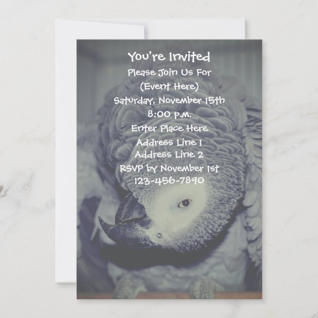 Invitación Fiesta divertida de loro gris africano (Anverso)