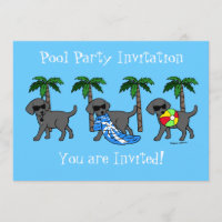 Fiesta en la piscina negra fresca de Labradors