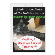 Invitación Fiesta relajada (Cat) de RoseWrites