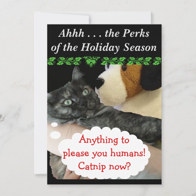 Invitación Fiesta relajada (Cat) de RoseWrites (Anverso)