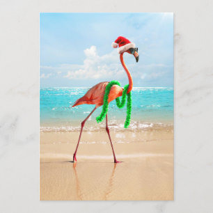 Invitación Flamenco de Navidad en la Playa