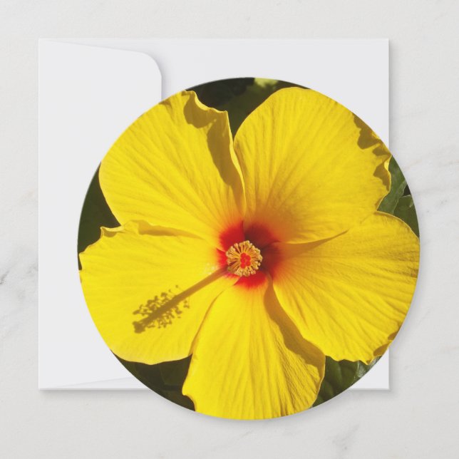 Invitación Flor amarilla hibiscus (Anverso)
