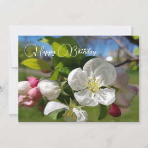 Invitación Flor blanca de un manzano. Cumpleaños