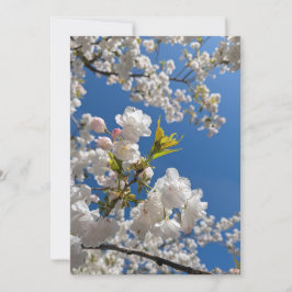 Invitación Flor de Cerezo en Primavera