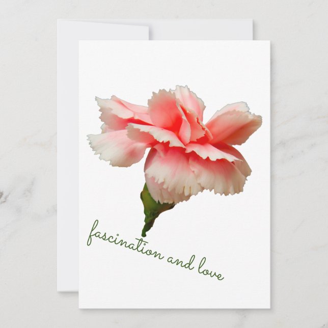 Invitación Flor de clavel. Fascinación y amor. (Anverso)