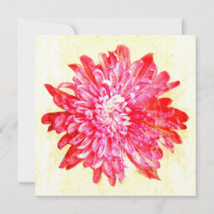 Invitación Flor de crisantemo rosa vibrante