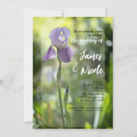 Flor de Iris Púrpura Boda de Primavera Verde