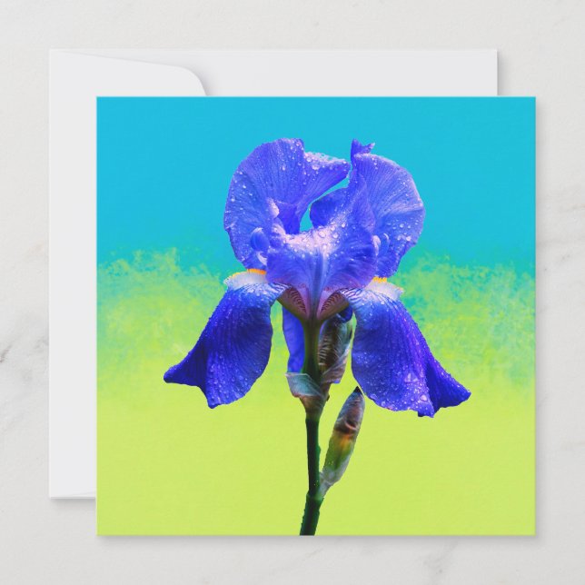 Invitación flor de lirio (Anverso)