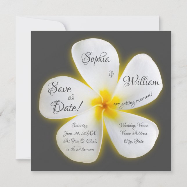 Invitación Flor de Plumeria blanca en la plaza moderna, salva (Anverso)