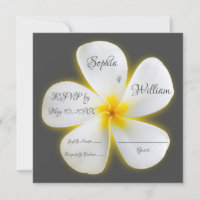 Flor de Plumeria Blanca Plaza Moderna, RSVP