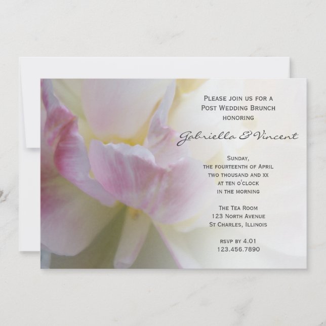 Invitación Flor de Tulipán Rosa Blanco Brunch Post Boda (Anverso)