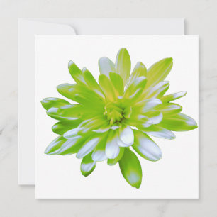 Invitación Flor floral verde suave y elegante