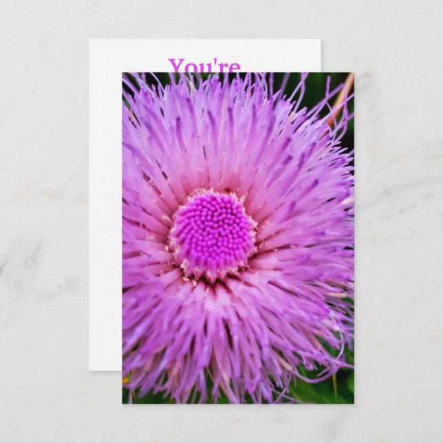 Invitación Flor morada y rosa (Anverso / Reverso)